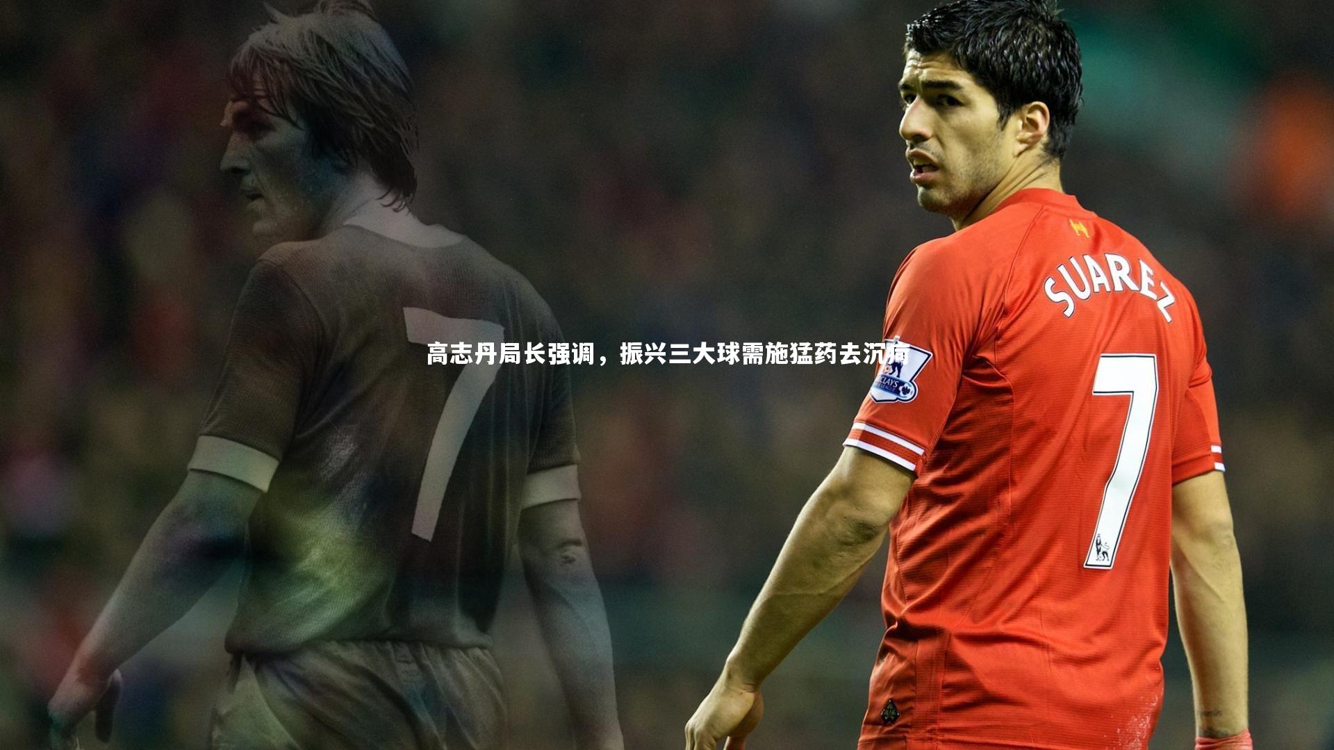 高志丹局长强调，振兴三大球需施猛药去沉疴